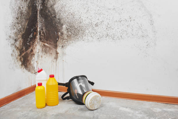 Best Certified Mold Removal  in Ramtown, NJ