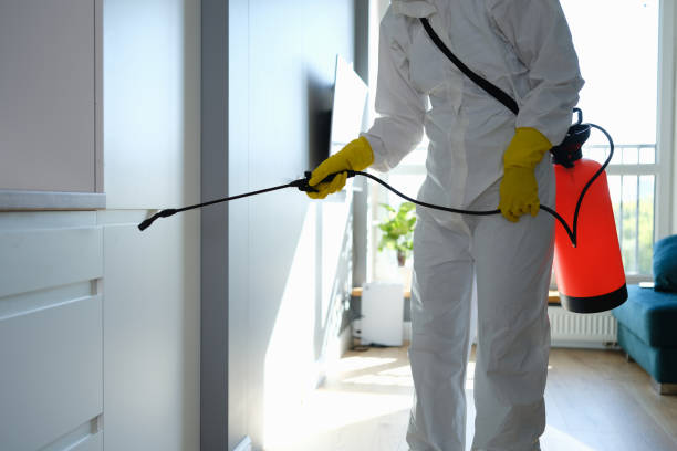 Best Same-Day Mold Removal  in Ramtown, NJ