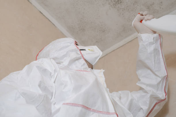 Best Emergency Mold Removal  in Ramtown, NJ